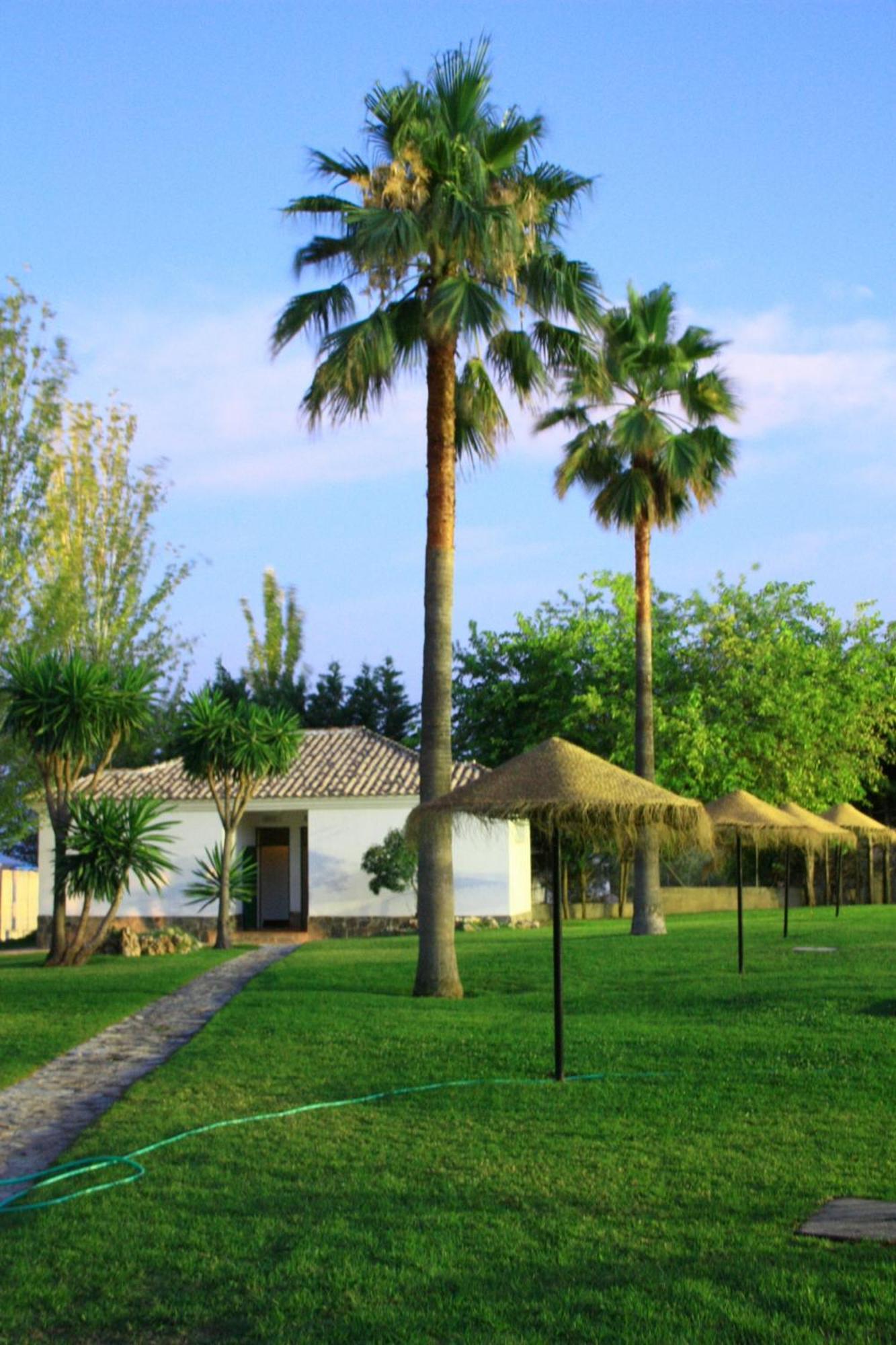 Camping Sierra De Las Nieves Yunquera Bagian luar foto